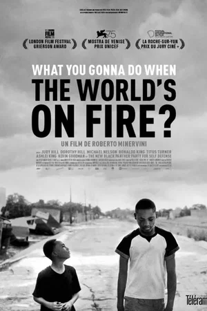 Affiche du film : What You Gonna Do When the World's on Fire ?