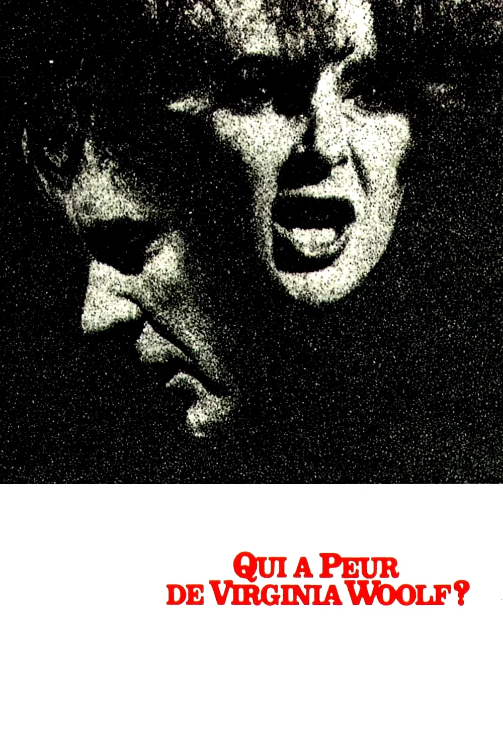 Affiche du film : Qui a peur de virginia woolf