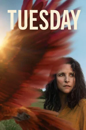 Affiche du film : Tuesday