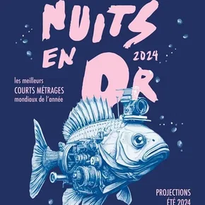 Photo du film : Les Nuits en Or 2024