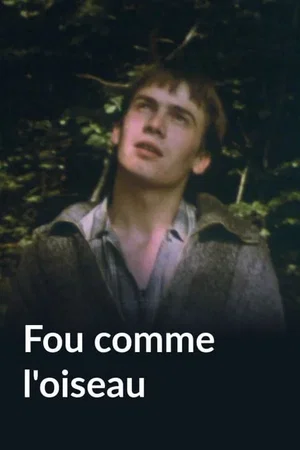 Affiche du film : Fou comme l'oiseau