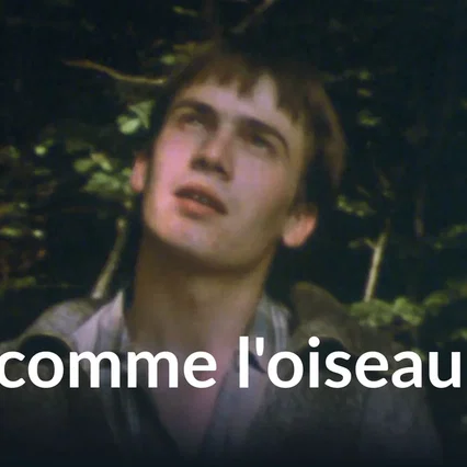 Miniature photo du film : Fou comme l'oiseau