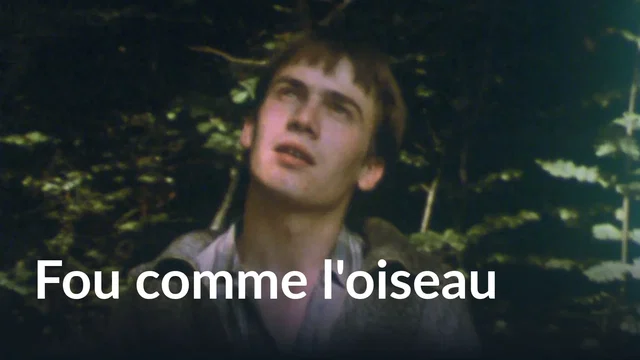 Photo du film : Fou comme l'oiseau