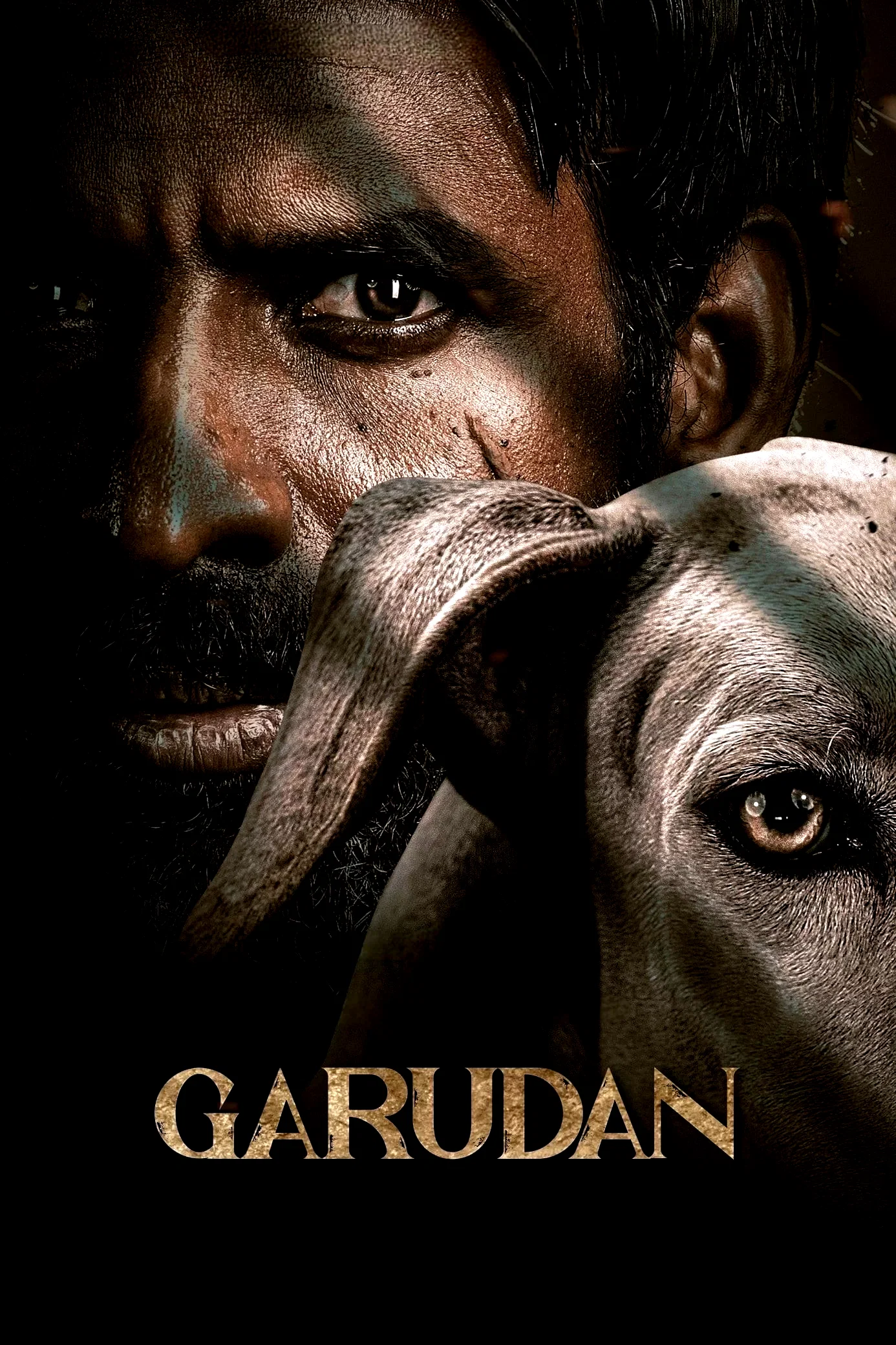 Affiche du film : Garudan