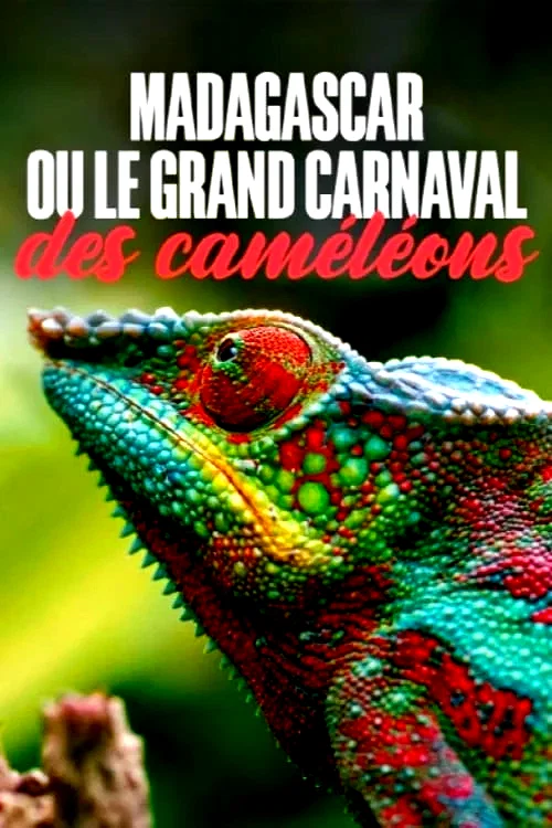 Affiche du film : Madagascar ou le grand carnaval des caméléons