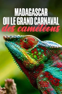 Affiche du film Madagascar ou le grand carnaval des caméléons