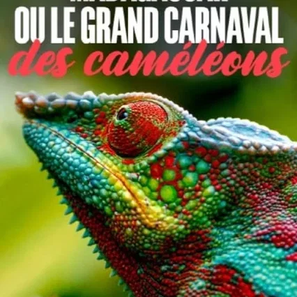 Miniature photo du film : Madagascar ou le grand carnaval des caméléons