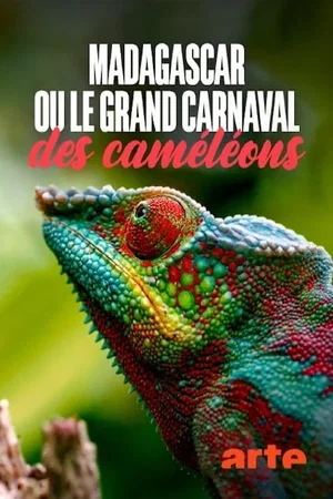 Photo 3 du film : Madagascar ou le grand carnaval des caméléons