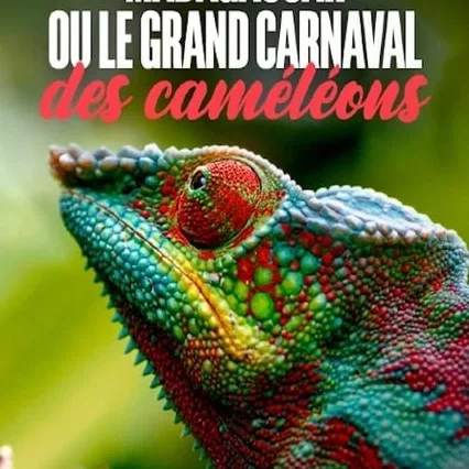 Miniature photo du film : Madagascar ou le grand carnaval des caméléons