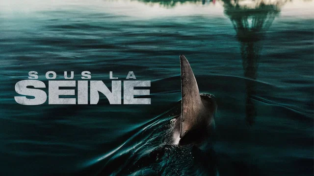 Affiche du film : Sous la seine