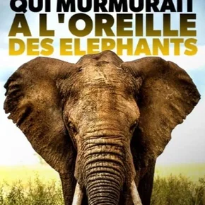Photo du film : La femme qui murmurait à l'oreille des éléphants
