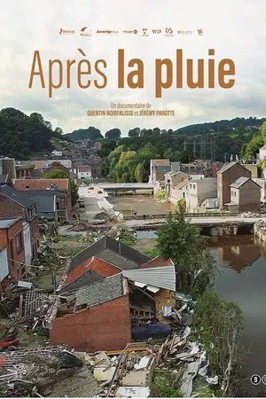 Affiche du film : Après la pluie