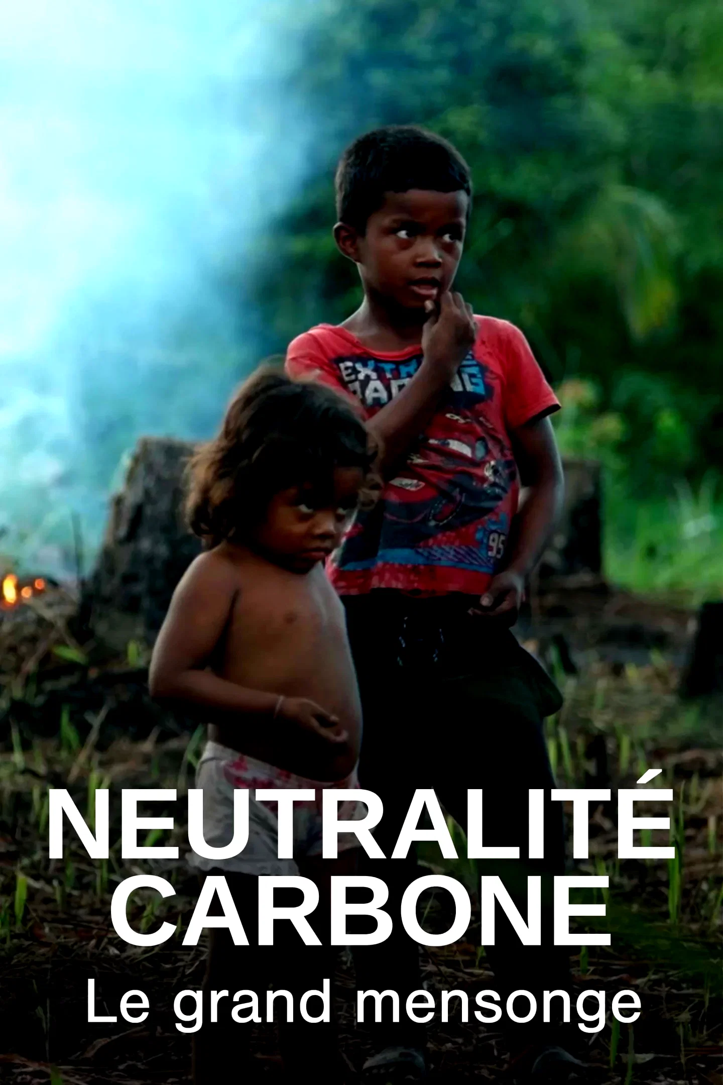 Affiche du film : Neutralité carbone, le grand mensonge