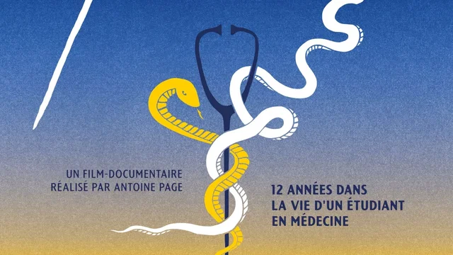 Affiche du film : Toubib