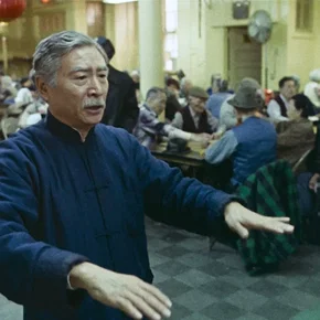 Photo du film : Pushing Hands