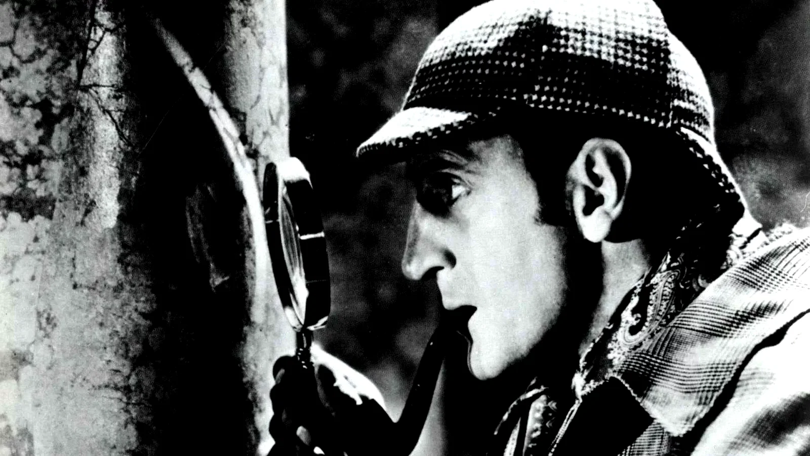 Photo 4 du film : Le Chien des Baskerville
