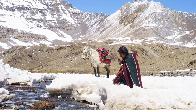 Affiche du film : Shambhala, Le Royaume des cieux