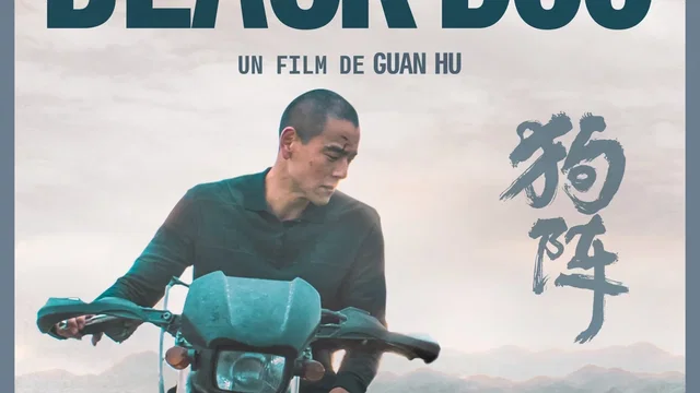 Affiche du film : Black Dog