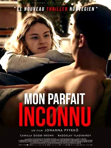 Affiche du film : Mon parfait inconnu