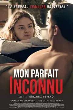 Affiche du film Mon parfait inconnu