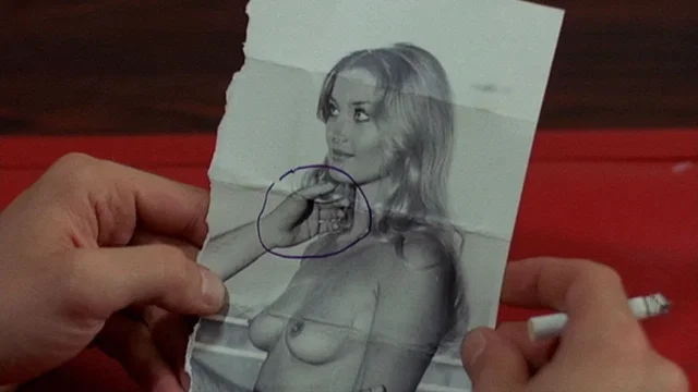 Photo du film : La Tarentule au ventre noir