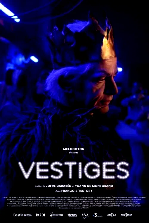 Affiche du film : Vestiges
