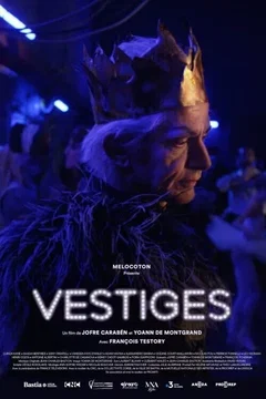 Affiche du film Vestiges