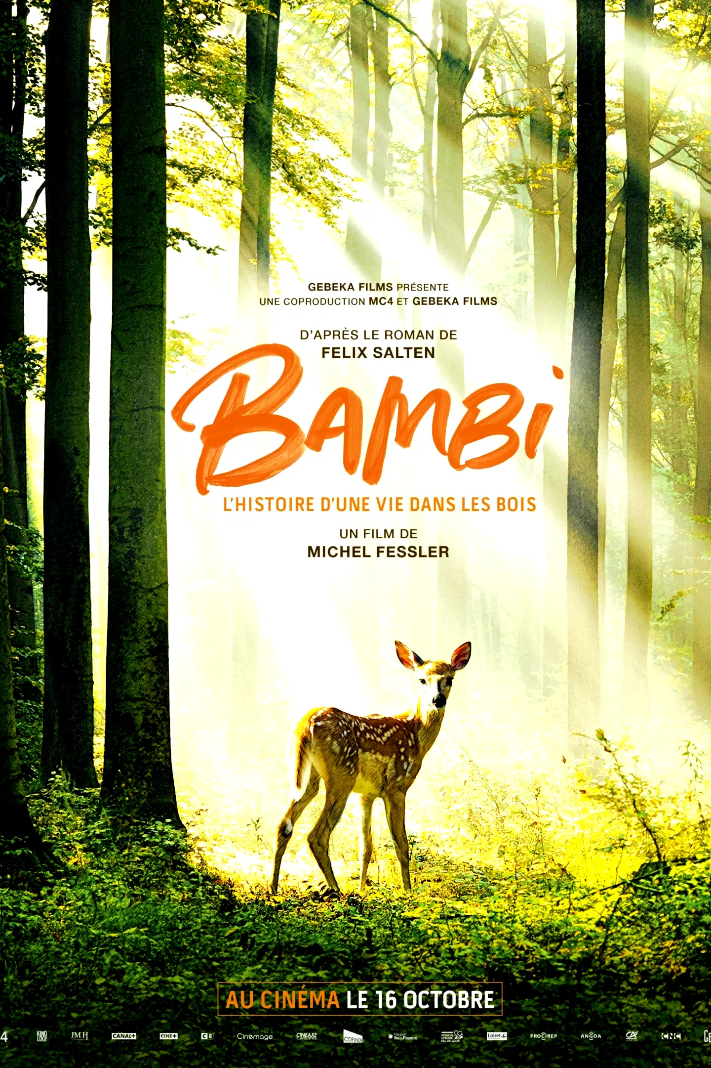 Affiche du film : Bambi, l'histoire d'une vie dans les bois