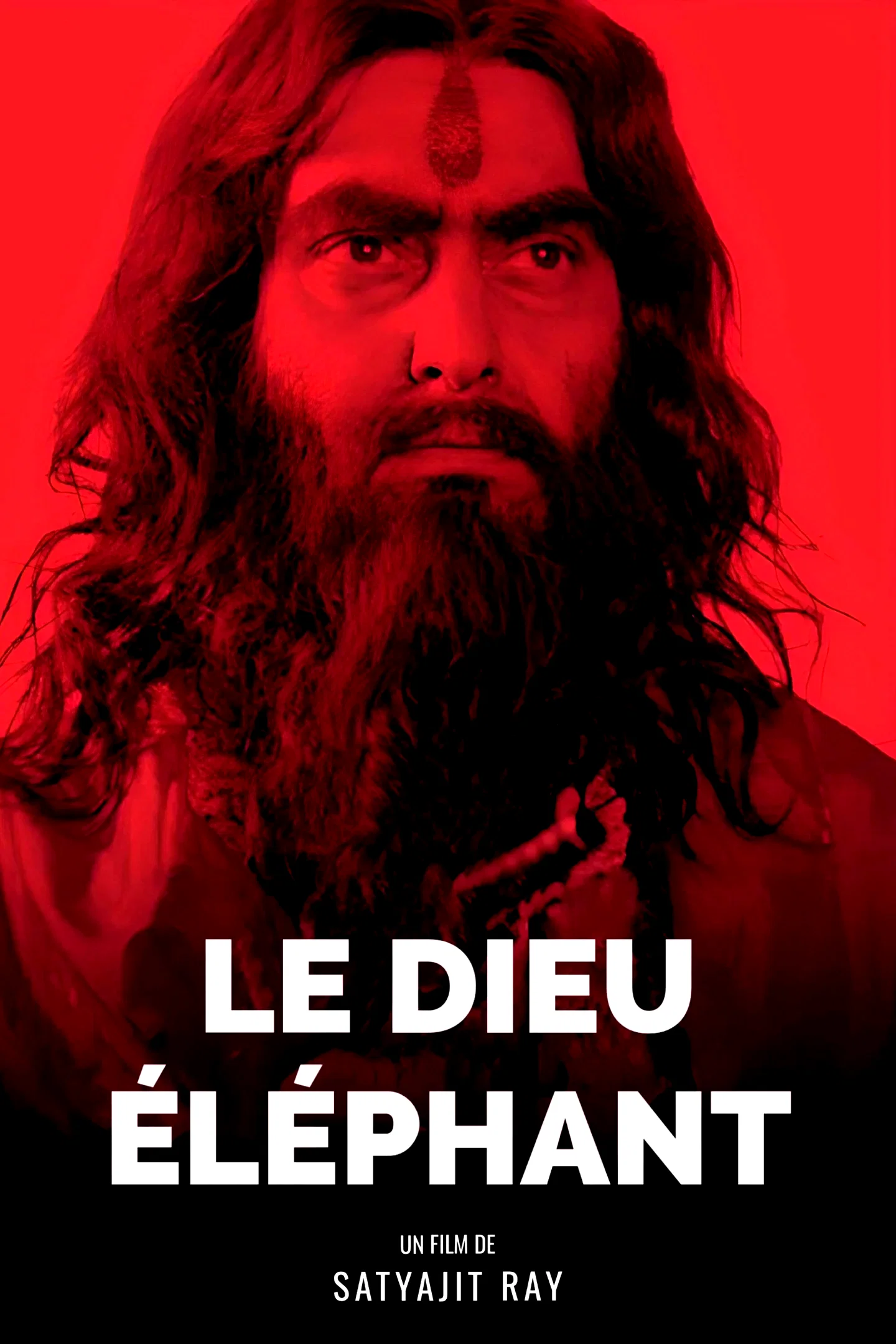 Photo 2 du film : Le dieu elephant