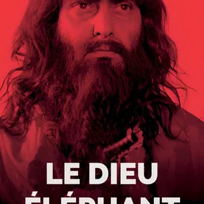 Photo du film : Le dieu elephant