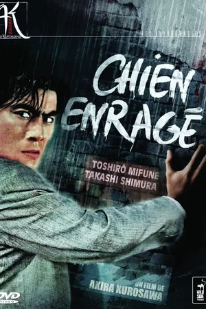 Affiche du film : Chien enragé