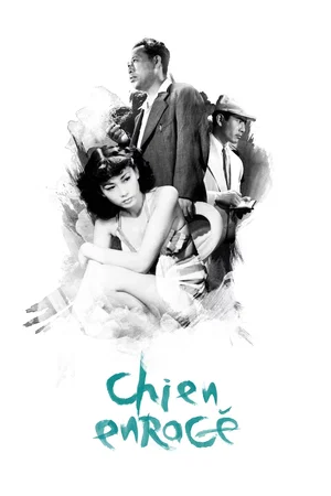 Photo 5 du film : Chien enragé