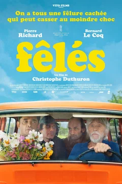 Affiche du film Fêlés
