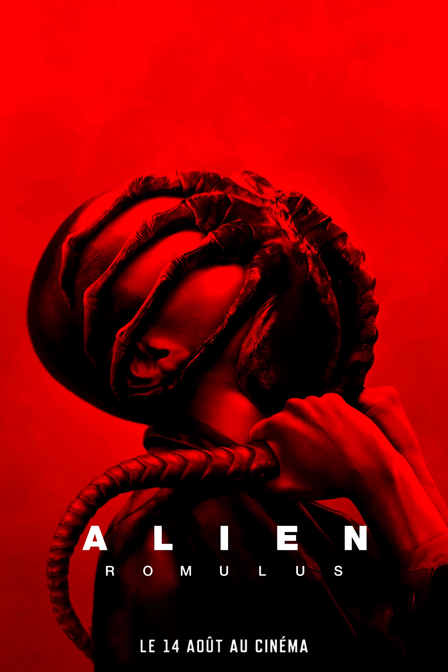 Photo 2 du film : Alien: Romulus