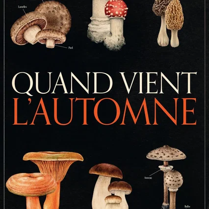 Miniature photo du film : Quand vient l'automne