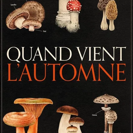 Miniature photo du film : Quand vient l'automne