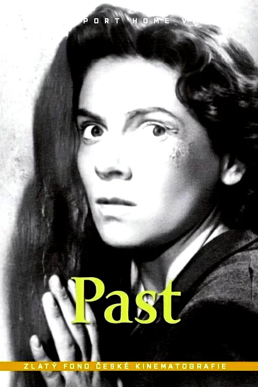 Affiche du film : Le piège