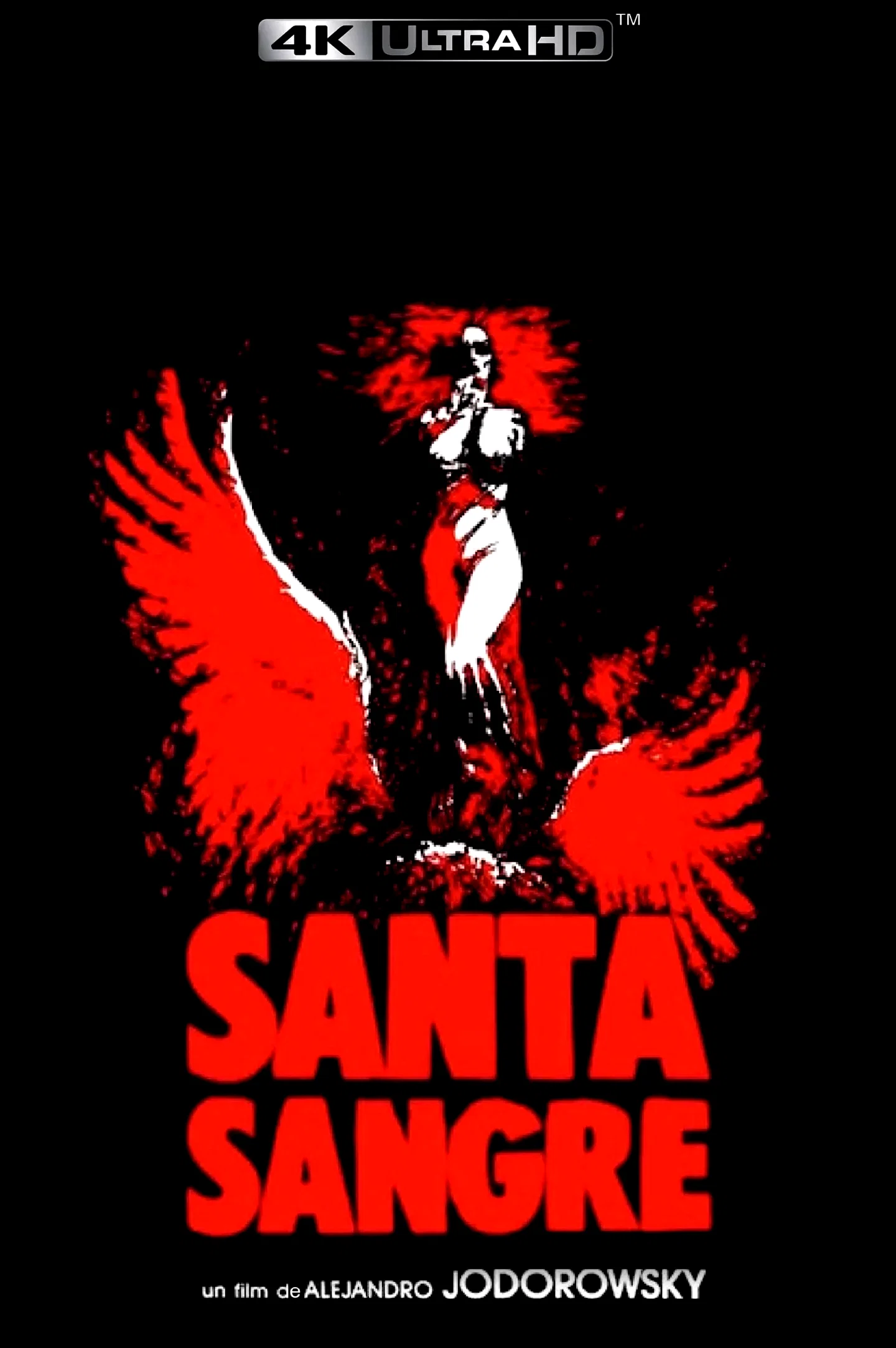 Photo du film : Santa sangre