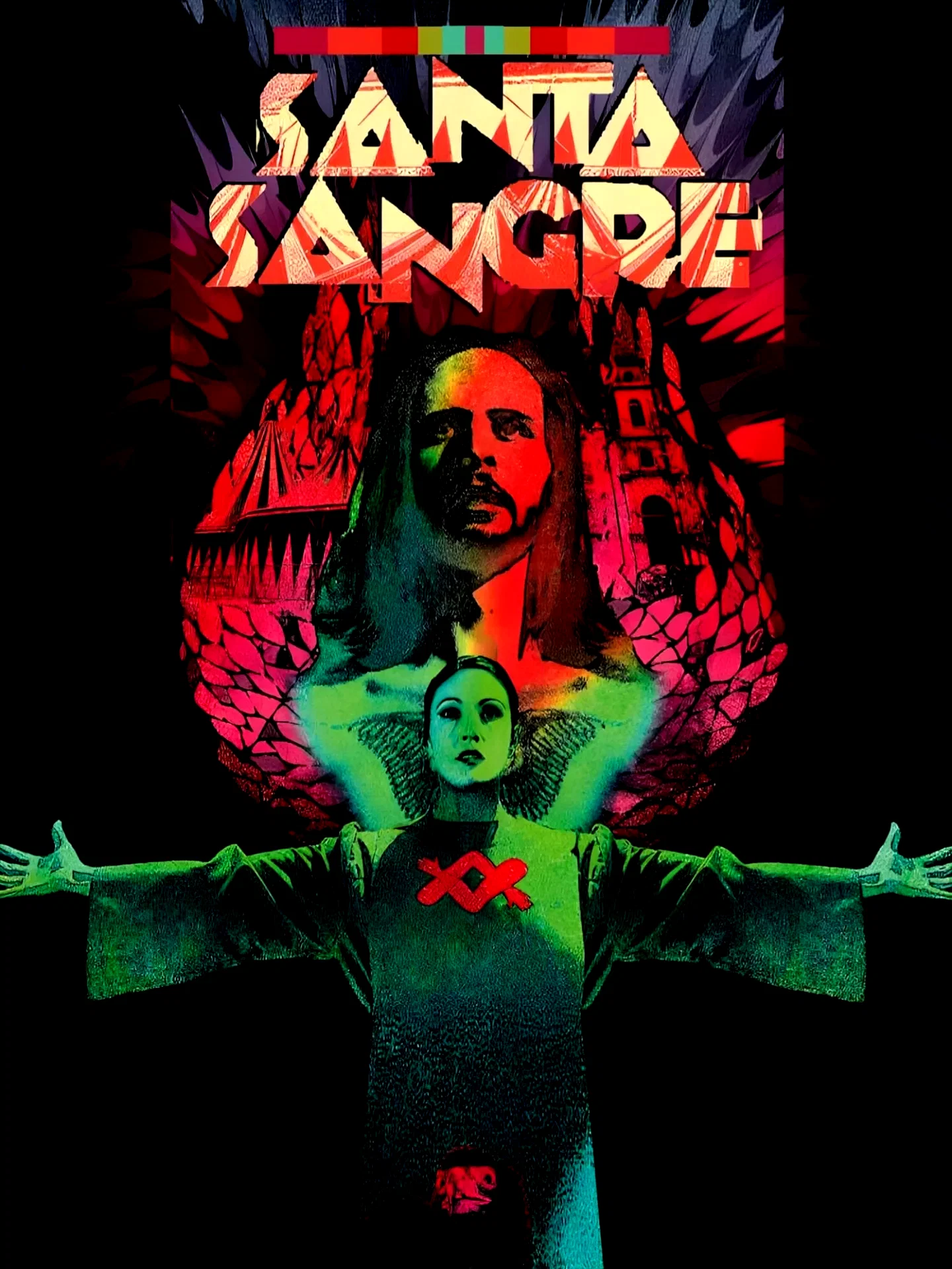 Photo du film : Santa sangre