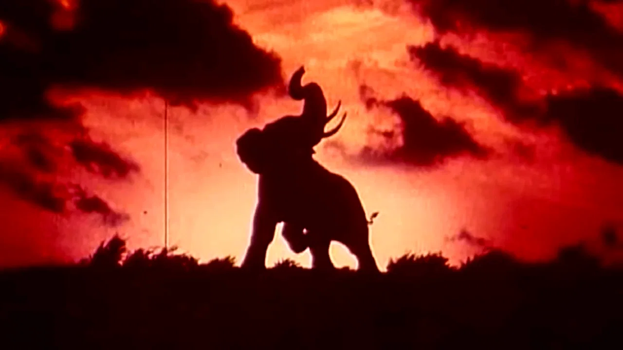 Photo 3 du film : Tusk