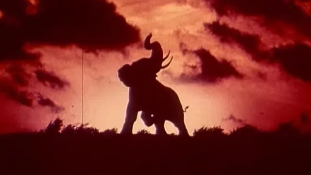 Photo 3 du film : Tusk