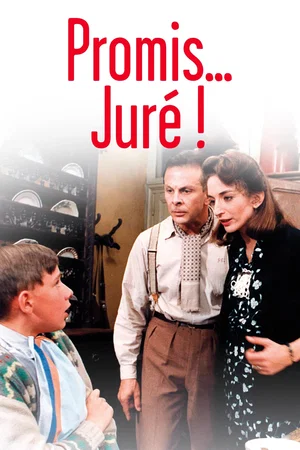 Affiche du film : Promis... juré !