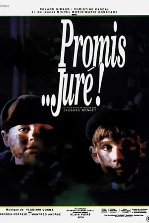 Photo 4 du film : Promis... juré !