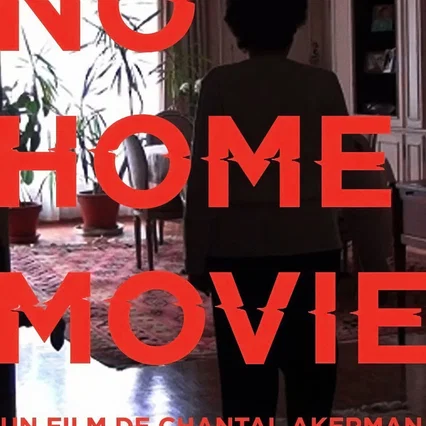 Miniature photo du film : No Home Movie