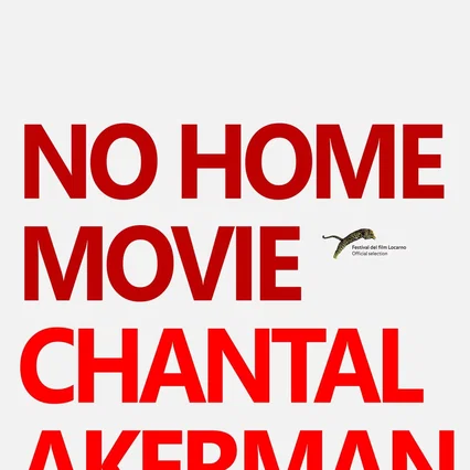 Miniature photo du film : No Home Movie