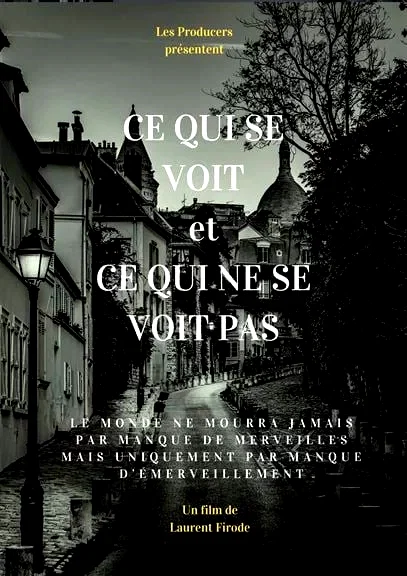 Photo du film : Ce qui se voit et ce qui ne se voit pas