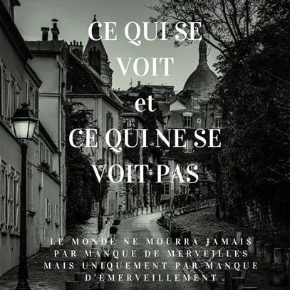 Miniature photo du film : Ce qui se voit et ce qui ne se voit pas