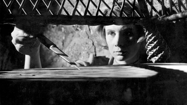 Photo 2 du film : La prison