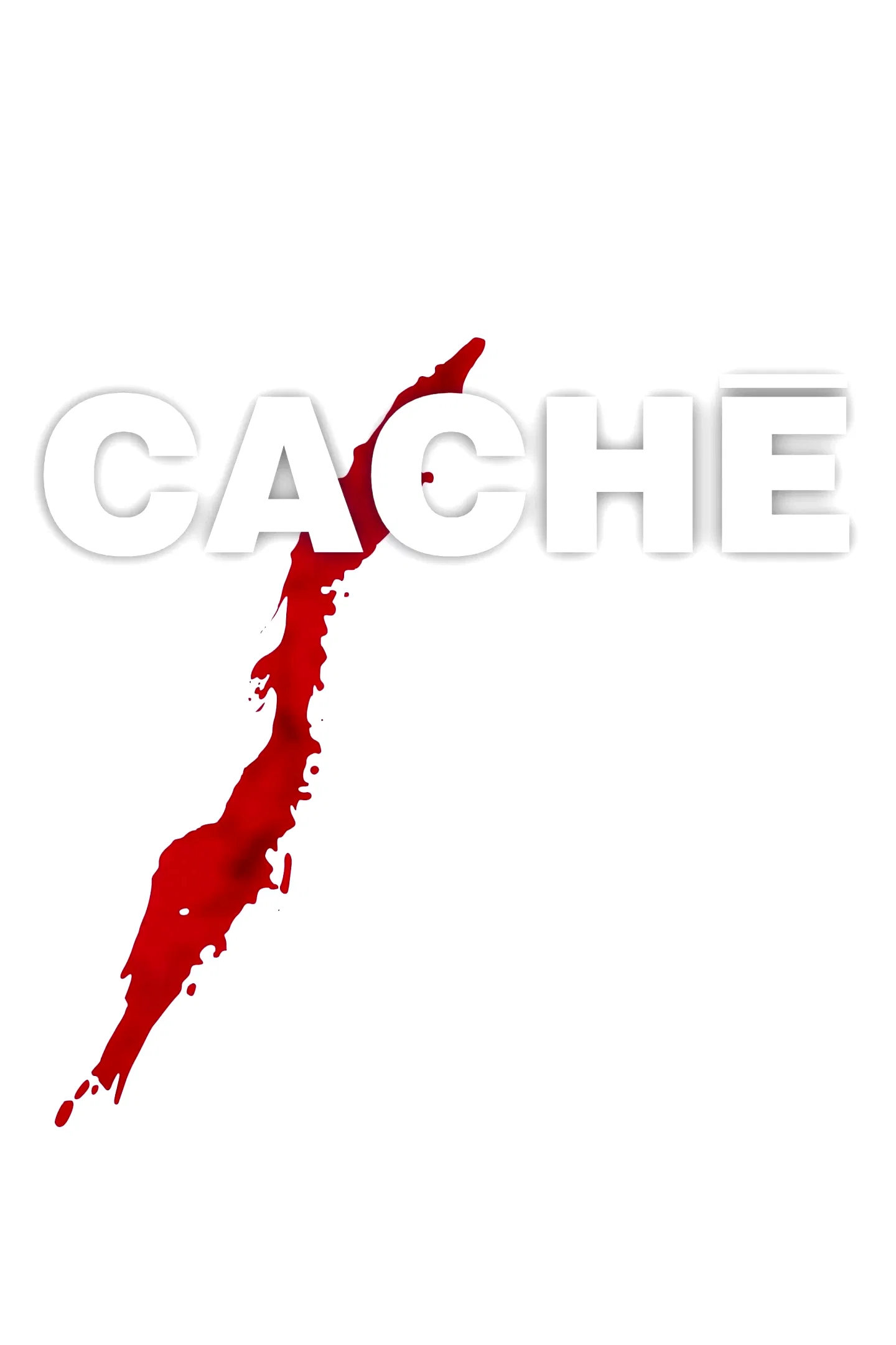Affiche du film : Caché