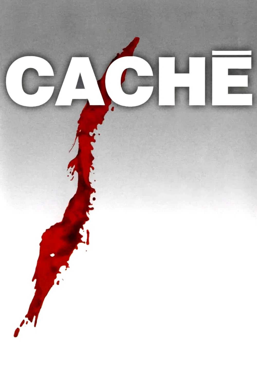 Photo 15 du film : Caché